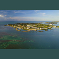 The Effects Of Sunlight On The Coronavirus - PHYSICAL FRIDAY #57