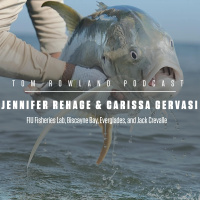 Jennifer Rehage  Carissa Gervasi - FIU Fisheries Lab, Biscayne Bay, Everglades, and Jack Crevalle