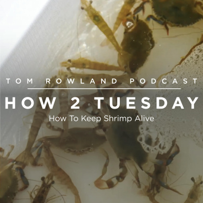 Tom Rowland Podcast