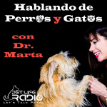 Hablando De Perros Y Gatos Con Dr. Marta On Pet Life Radio (petliferadio.com)