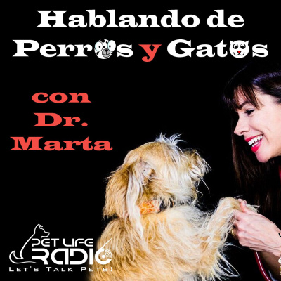 Hablando De Perros Y Gatos Con Dr. Marta On Pet Life Radio (petliferadio.com)