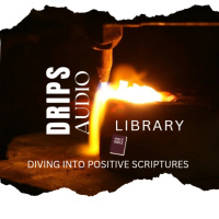 One Life/Shine Bright|DRIPS