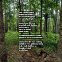 The Great Outdoors Episode