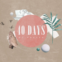 Palm Sunday: Praying with patience and trust