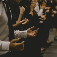 The Transformational Power of Gratitude