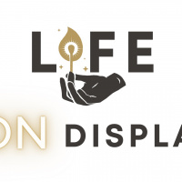 Life on Display: In Knowing Christ