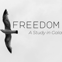 Free to sow in the Spirit