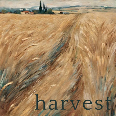 Delaware City Vineyard