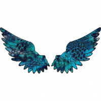 NAIT with Professor Michael Murphy