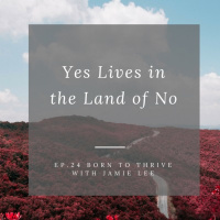 Ep.24 Yes Lives in the Land of No