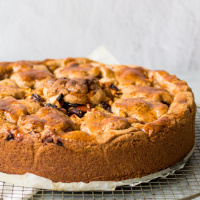 #09.1: De standaarduitrusting van Arachne Molema