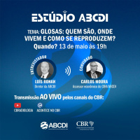 Estúdio ABCDI - Glosas: Quem são, onde vivem e como se reproduzem?