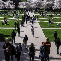 The State of Jewish Life on College Campuses