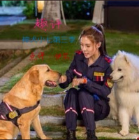 趣评神犬小七丨1丨想知道神3什么时候播出，进来听～（伊尔）