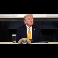 Trump demolition man in patria e allestero