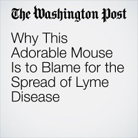 Why This Adorable Mouse Is to Blame for the Spread of Lyme Disease Audiobook by Lindsey Bever