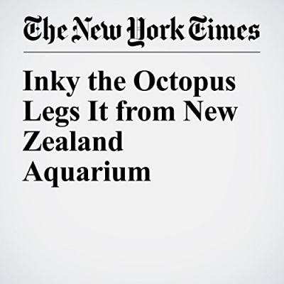 Get Free Audio Book Of Newspapers  Magazines, News  Culture Top Rated