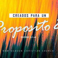 Creados Para Un Propósito Pt.2 :: Pastor David Araujo :: 11.17.19