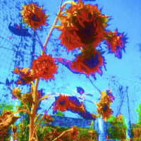 Ballad of the Repo Man (feat. Daniel Vega, Thomas DeNicola, JD Davis)