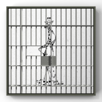 South Africa on Lockdown: Day 17