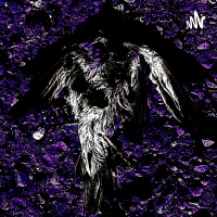 Are Manchin amp Sinema conspiring to do each others dirty work?