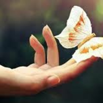 Diego Orlandos Podcast