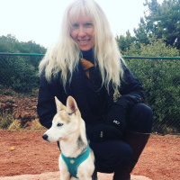 15 min Meditation - New Year, New Beginnings