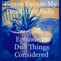 Episode 17 - Dull Things Considered