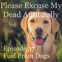Episode 37 - Fuel From Dogs