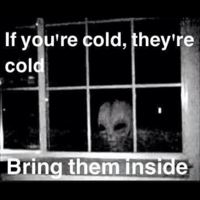 Please Excuse My Dead Aunt Sally