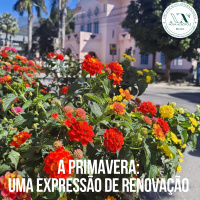 A Primavera: uma expressão de renovação