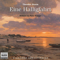 Eine Halligfahrt Hörbuch von Theodor Storm