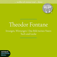 Irrungen, Wirrungen / Das Bild meines Vaters / Tuch und Locke (Klassiker to go) Hörbuch von Theodor Fontane