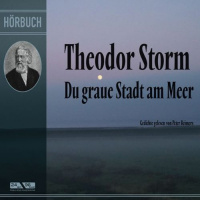 Du Graue Stadt Am Meer Hörbuch von Theodor Storm