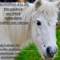Geschichten aus der Ponyschule Petra Achenbach Teil 2