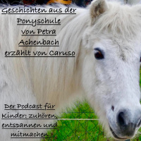 Geschichten aus der Akademie für Kinder und Ponys, von Petra Achenbach Teil 1