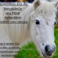 Geschichten aus der Akademie für Kinder und Ponys Teil 3
