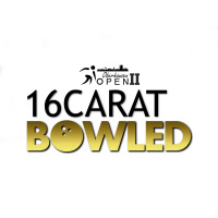 17: Sarah  Sarah #17 Sarah4L goes to an American Shindy + Oberhausen Open News!