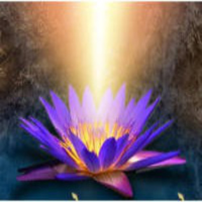 Conferencias Y Seminarios Isaac Jauli Dávila