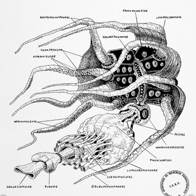 Cpu Carré Petit Utile - Programmes