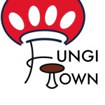 Fungi Town