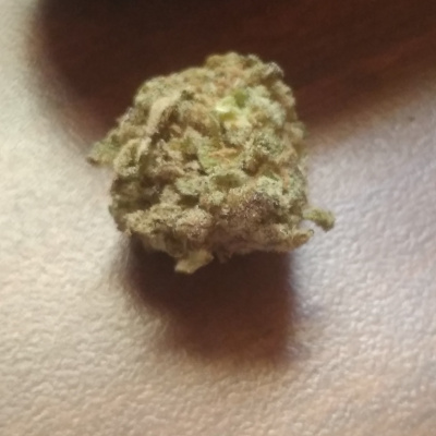 Life Calculations With Justmath