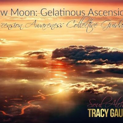 Happiness Alchemy Podcast