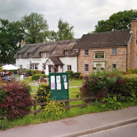 Caught at the Cunning Man