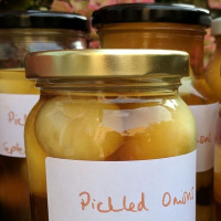 Octopush and Pickled Onions