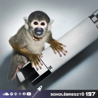 Állatok az űrben | Sokolébresztő #197