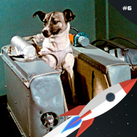 Állati asztronauták | Planetocast #6