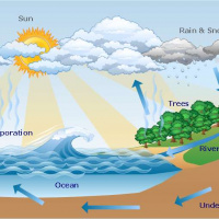 Water Cycles Part 2