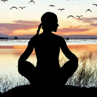 #15 - Como Ayurveda Pode Ajudar Na Saúde E Bem Estar?