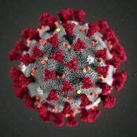 #34 - Ayurveda e Coronavírus - Dicas Práticas